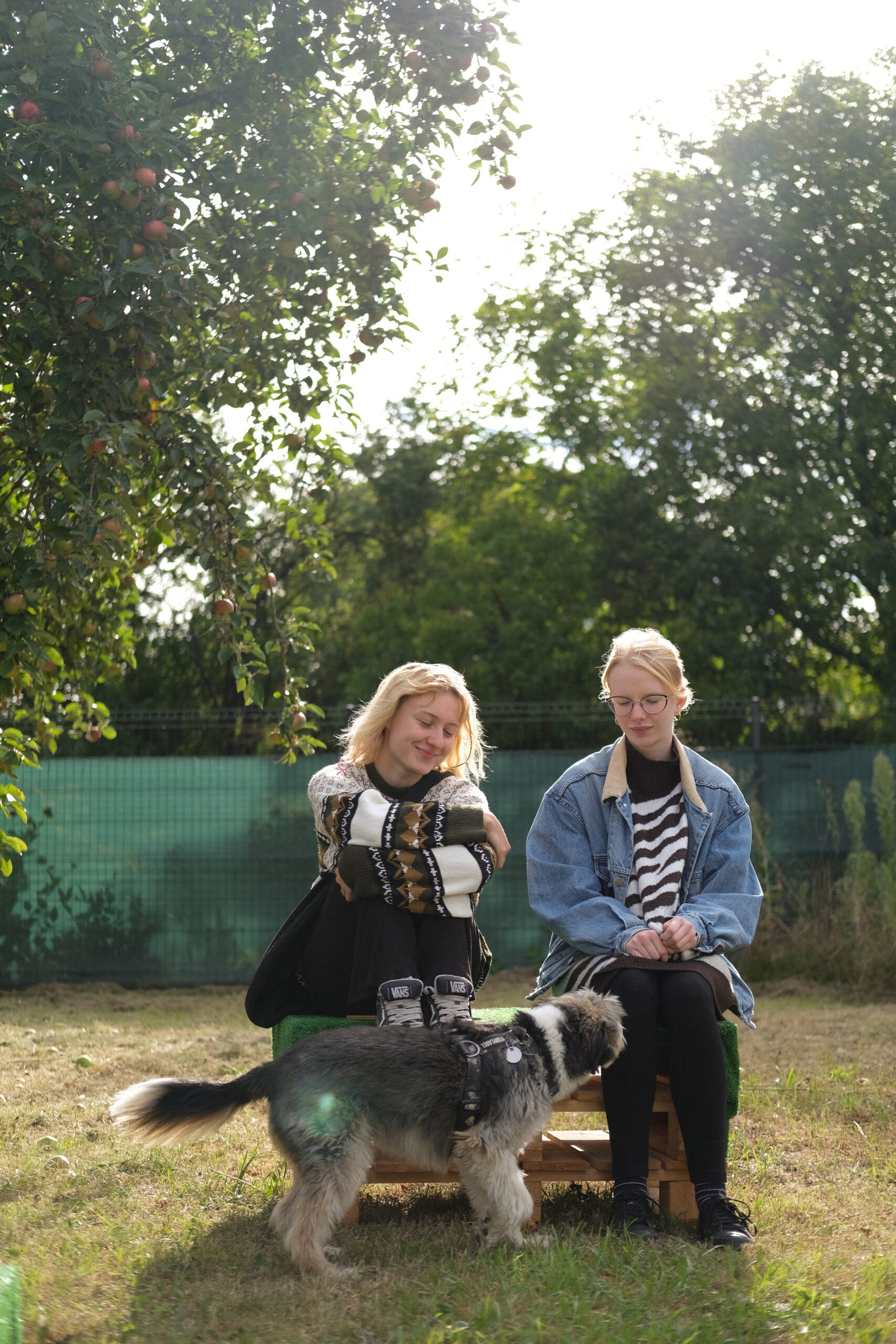 B653C914-A9DB-4A90-8183-1247C591661B-55021-000004E6556616E9