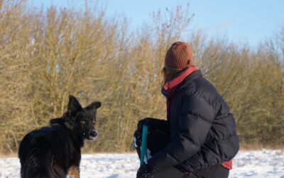 Pies: dziecko, pracownik czy przyjaciel?